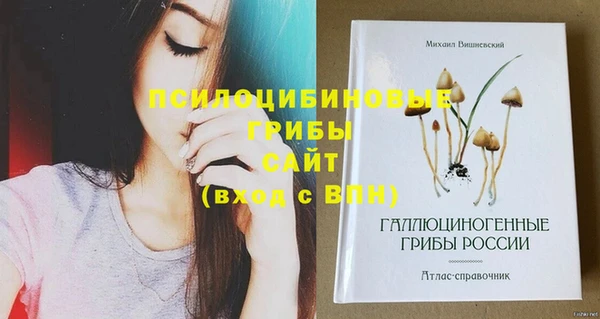 индика Абинск