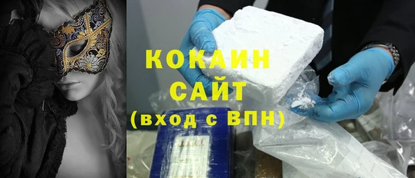 индика Абинск