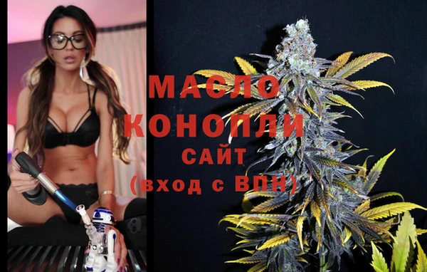 индика Абинск