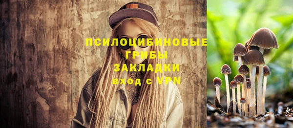 гашик Абдулино